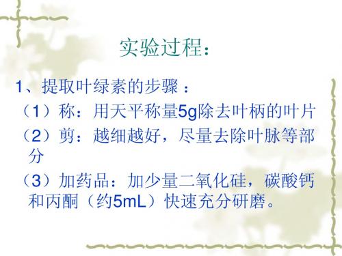 色素的提取和分离