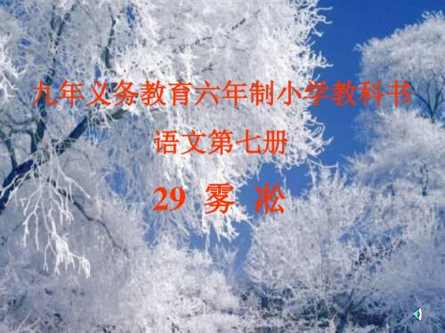 四上《雾凇》ppt课件全面版