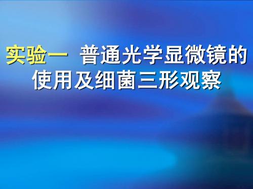 微生物实验-普通光学显微镜的使用及细菌三形观察