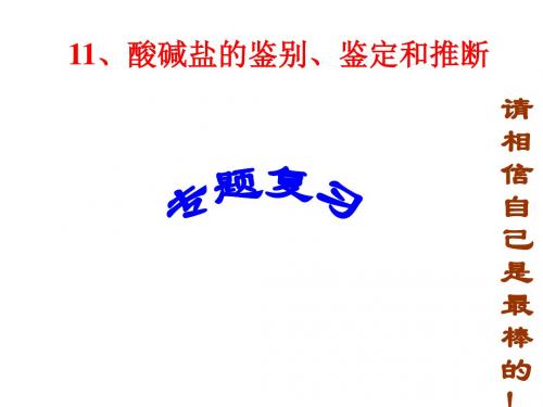 初三化学中考专题复习    酸碱盐的鉴别鉴定和推断 课件(共19张PPT)