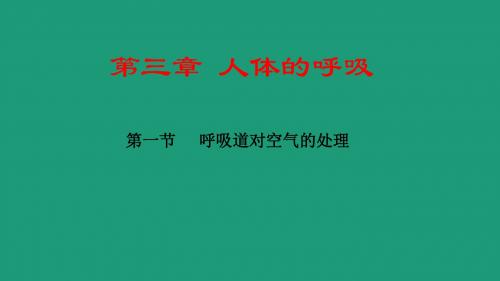 人教版七年级生物七册3.1《呼吸道对空气的处理》课件23张PPT