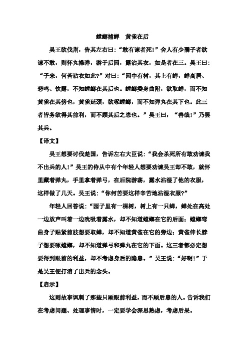 《螳螂捕蝉 黄雀在后》