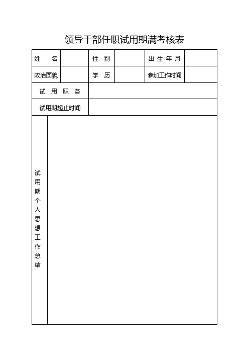 领导干部任职试用期满考核表