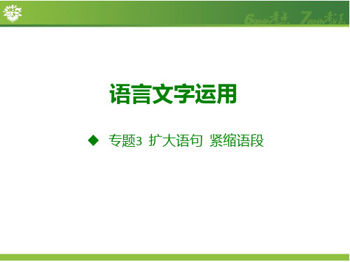 新版《600分考点700分考法》高考语文一轮专题复习课件：A版-语言文字运用专题3.扩展语句压缩语段