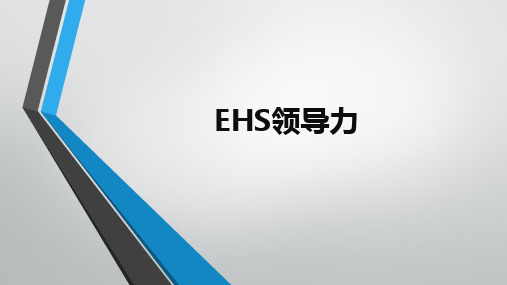 ESH领导力