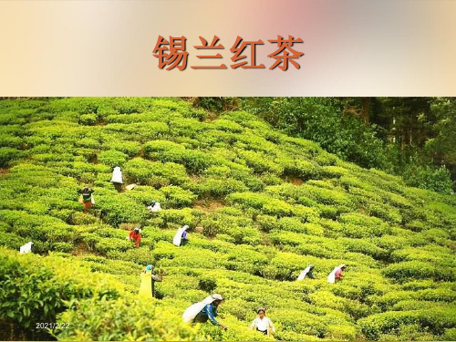 斯里兰卡代表团(小组)课件