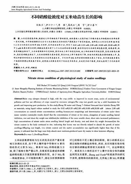 不同硝酸盐浓度对玉米幼苗生长的影响