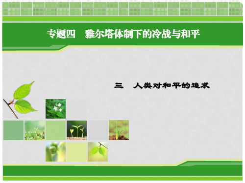 高中历史 专题4 雅尔塔体制下的冷战与和平 专题4.3 人类对和平的追求课件 人民版选修3