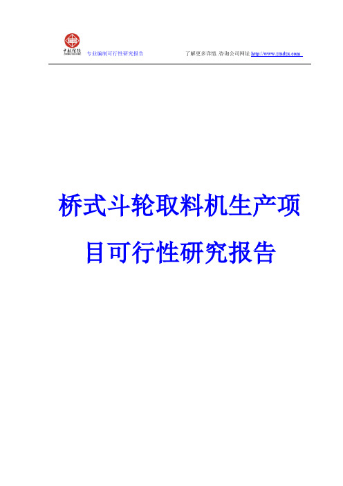 桥式斗轮取料机生产项目可行性研究报告