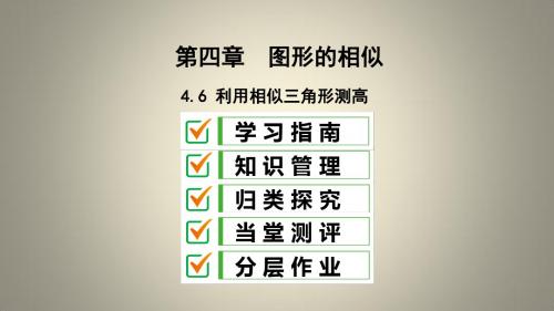 九年级数学上册 第四章 图形的相似 6 利用相似三角形测高课件 (新版)北师大版