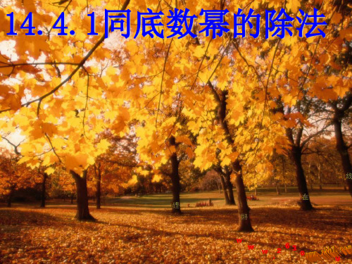 14.1.4同底数幂的除法课件