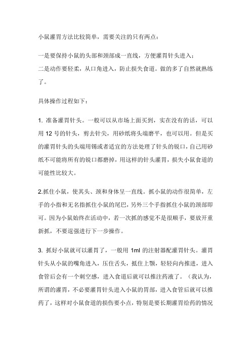 小鼠灌胃的方法及注意事项