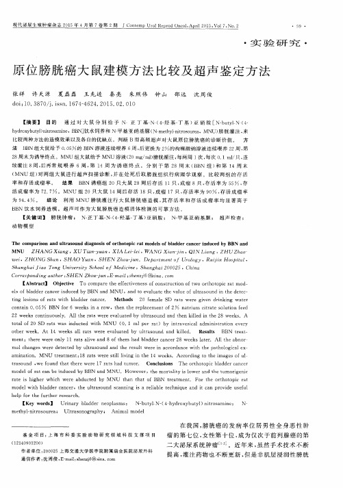 原位膀胱癌大鼠建模方法比较及超声鉴定方法