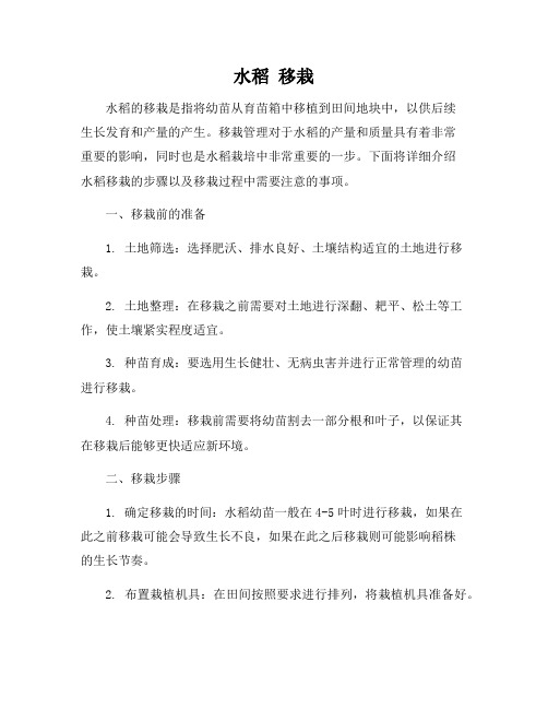 水稻 移栽