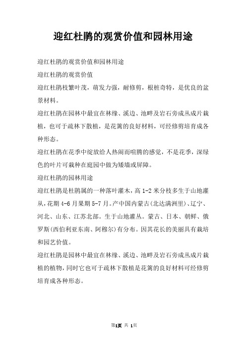 迎红杜鹃的观赏价值和园林用途