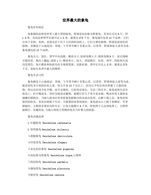 世界最大的象龟
