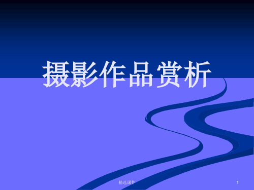 摄影作品赏析课件