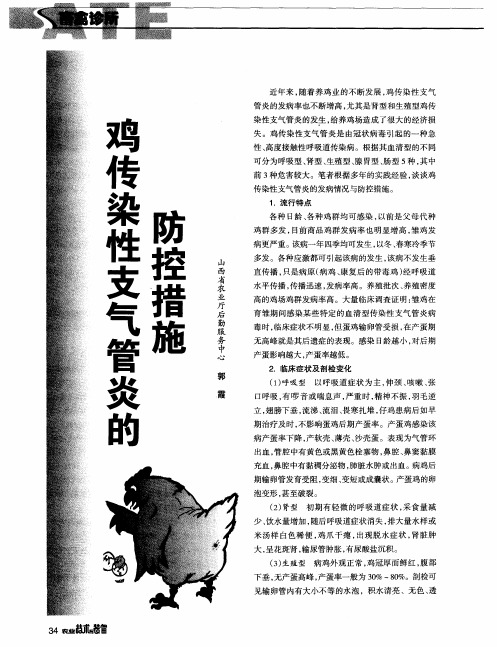 鸡传染性支气管炎的防控措施
