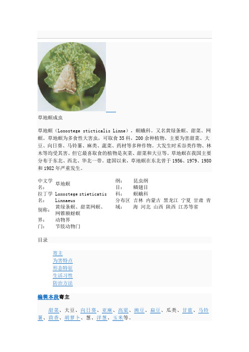 草地螟