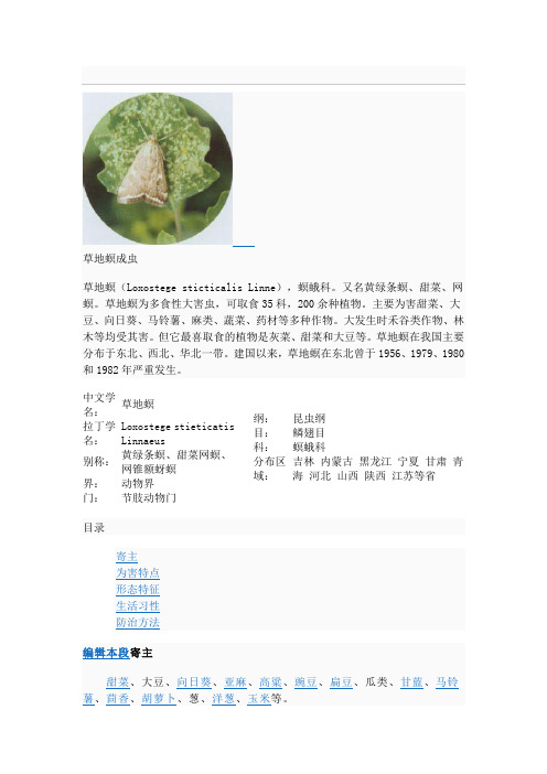 草地螟