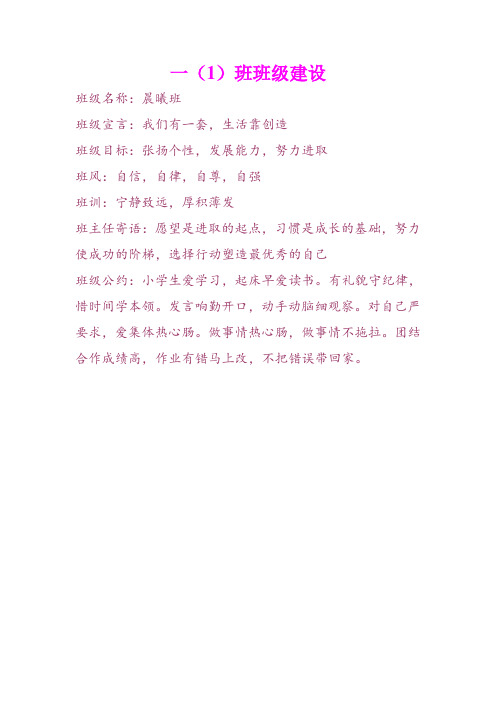 一(1)班级建设