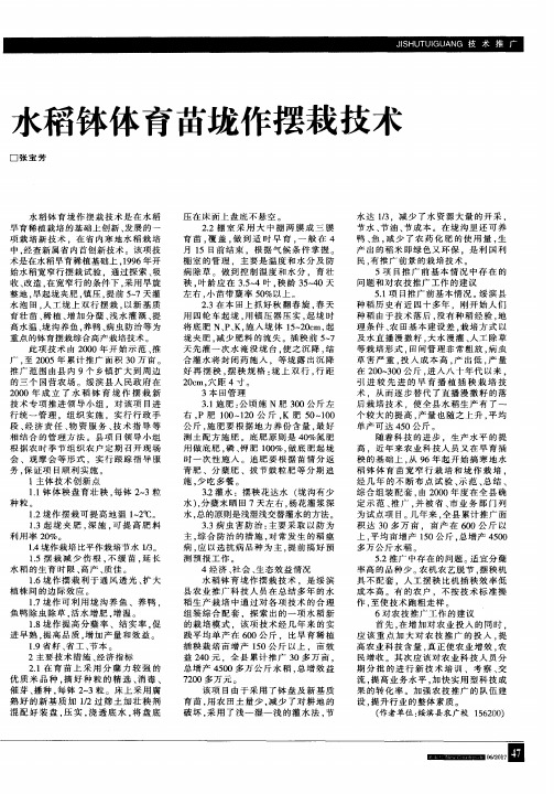 水稻钵体育苗垅作摆栽技术
