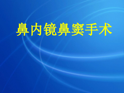 鼻内镜鼻窦手术PPT课件