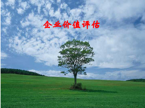 教学课件：《企业价值评估》