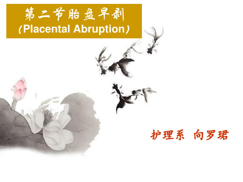 胎盘早剥.ppt 精品