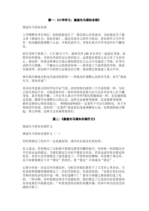 塞失马焉知非福作文