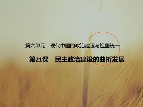 专题21 民主政治建设的曲折发展课件-2017-2018学年高一历史同步课堂 精品
