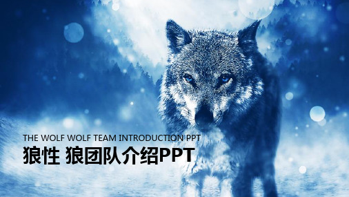 蓝色简约动态团队介绍团队精神PPt模版