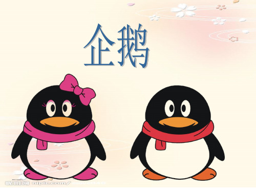 科学演讲企鹅ppt课件 (2)