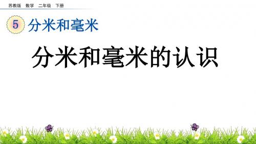 分米和毫米的认识