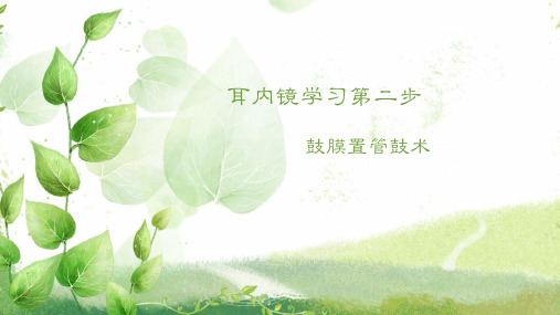 鼓膜置管方法