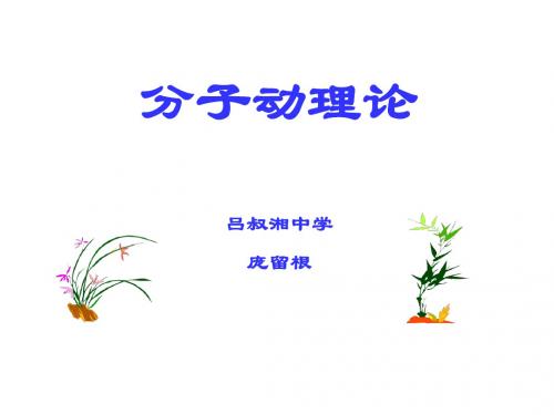 高三物理分子动理论(2018-2019)
