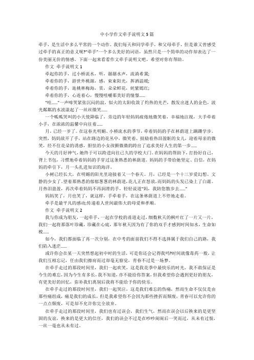 中小学作文牵手说明文5篇
