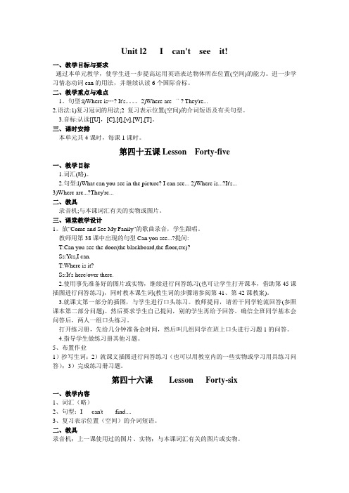 i can’t see it 教案