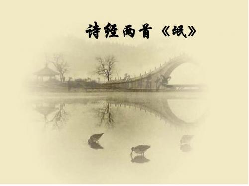 诗经两首说课