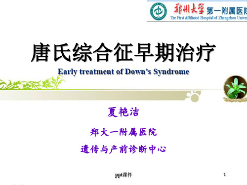 唐氏综合征治疗-夏艳洁  ppt课件