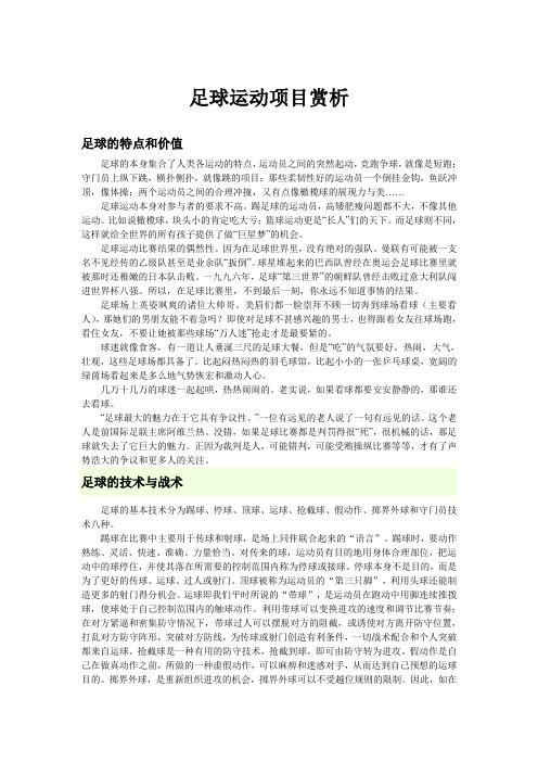 足球运动项目赏析