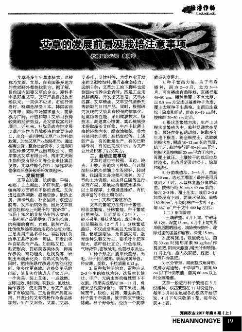 艾草的发展前景及栽培注意事项
