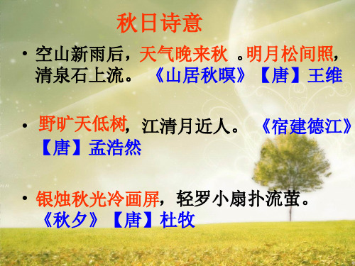 《秋天》ppt课件