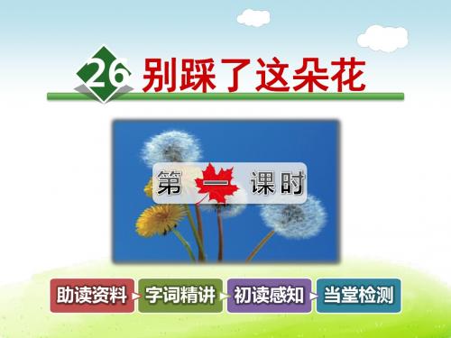 别踩了这朵花PPT课件
