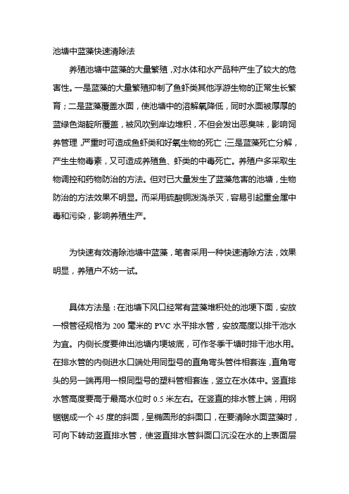 池塘中蓝藻快速清除法