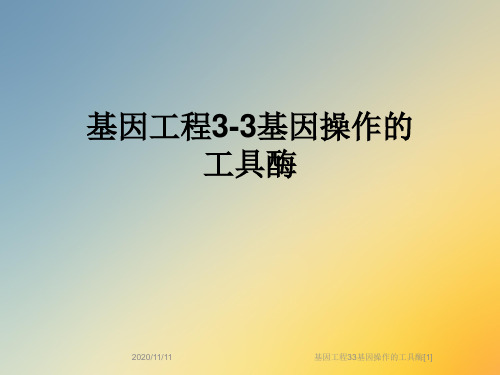 基因工程33基因操作的工具酶[1]