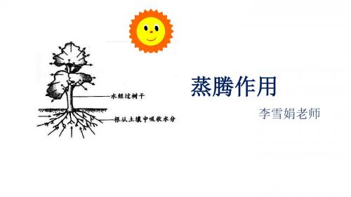 北师版初一上5.4蒸腾作用