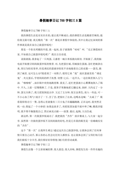 暑假趣事日记700字初三5篇