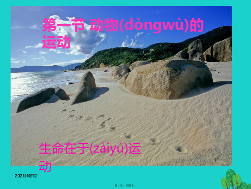 八年级生物上册5.2.1动物的运动课件(新版)新人教版