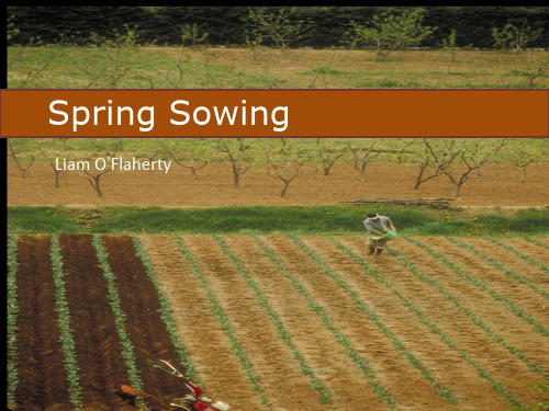 精读4Unit2-SpringSowing配套ppt课件